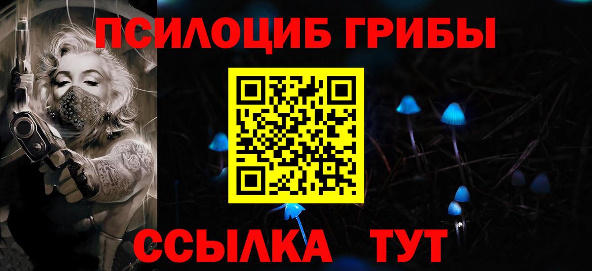 Псилоцибиновые грибы Psilocybe Лесной