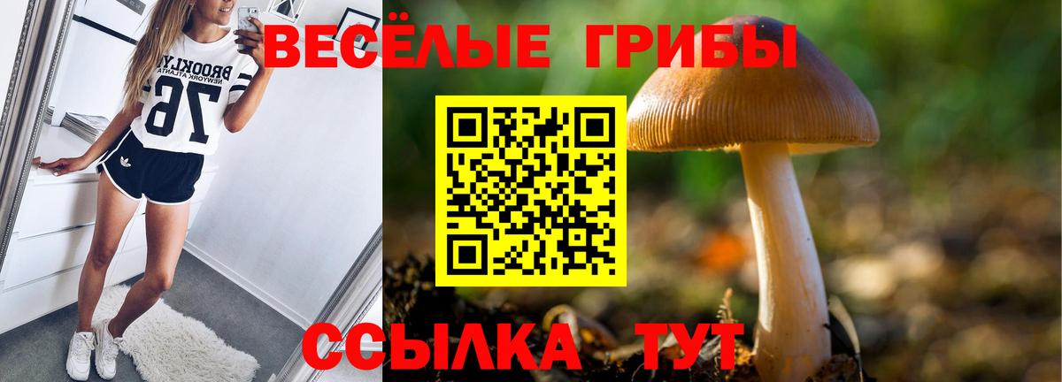 Псилоцибиновые грибы Magic Shrooms  Вход с VPN  Лесной 